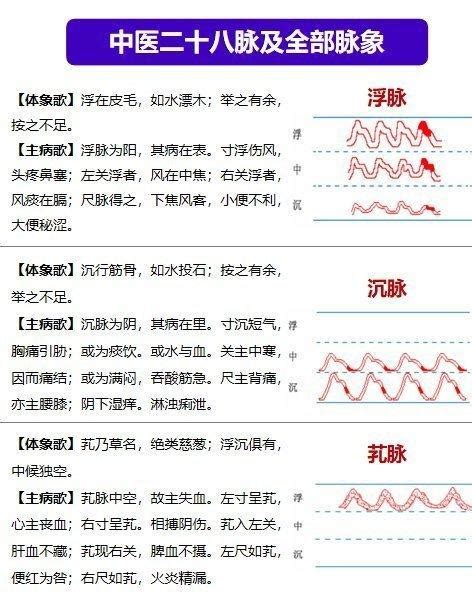 左水右尺|中医二十八脉及全部脉象（收藏）